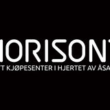 The "Horisont" user's logo