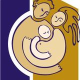 The "Palmy Parent" user's logo