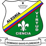The "Periódico Virtual Domingo Savio" user's logo