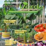 The "Revista Ambiental Corriente Verde" user's logo