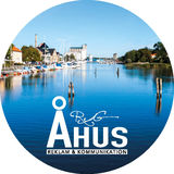 The "Vi Syns i Åhus" user's logo