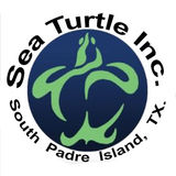 The "Sea Turtle Inc." user's logo