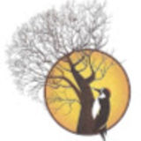 The "Tehachapi Living Magazine" user's logo