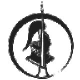 The "The LANCE " user's logo