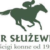 The "TorSluzewiec" user's logo