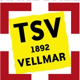 The "TSV Vellmar Handball" user's logo
