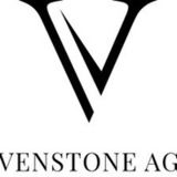 The "Venstone AG" user's logo