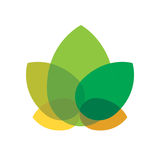 The "Vine magazine" user's logo