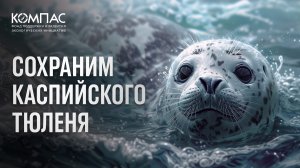 Сохраним Каспийского тюленя