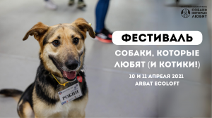 Фестиваль "Собаки, которые любят" 10-11 апреля 2021 года