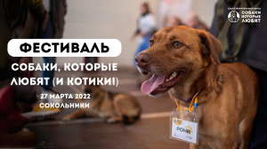 Фестиваль "Собаки, которые любят" 27 марта 2022 в Сокольниках