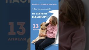 Приглашаем на Выставку кошек и собак из приютов Москва РЦ "Нева" с 12 до 18 РЕГИСТРАЦИЯ ОБЯЗАТЕЛЬНА