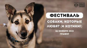 Фестиваль "Собаки, которые любят" 26 ноября 2023 в Графите