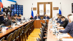 Заседание комитета Государственной Думы по энергетике с участием Николая Шульгинова