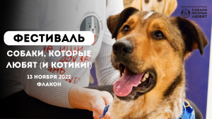 Фестиваль "Собаки, которые любят (и котики!)" 13 ноября 2022 в Флаконе