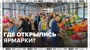 Сезонные ярмарки в Москве — Москва24|Контент