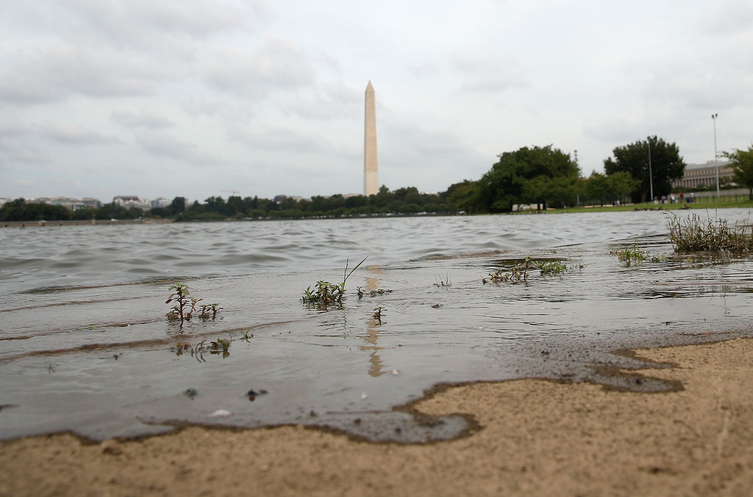Nuisance flooding is already an issue in Washington, DC as sea levels continue to rise in part due to climate change. President Trump will give his State of the Union address tonight, but likely won’t mention climate at all.