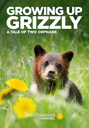 Значок приложения "Growing Up Grizzly"