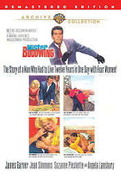 Ikonbillede Mister Buddwing (1966)