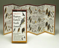 Title: Sibley's Raptors of Eastern North America, Author: David Allen Sibley