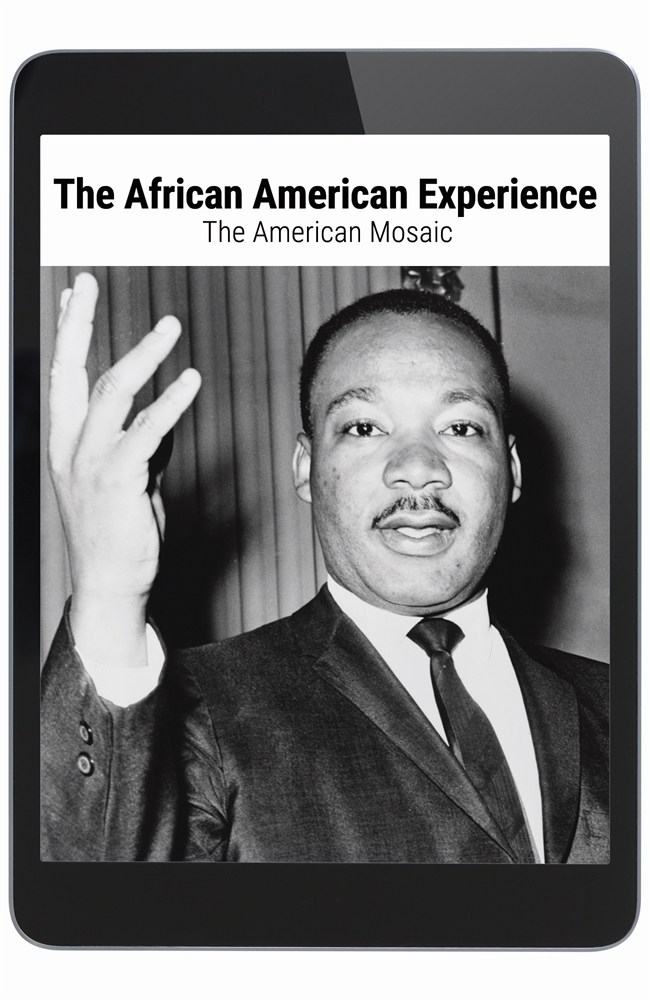 The African American Experience: The American Mosaic