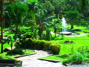 Jardin Botanico San Juan 03