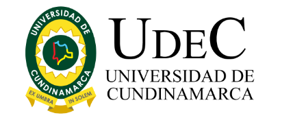 logo_UDEC