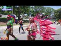 Carnaval del Caribe de Atlanta