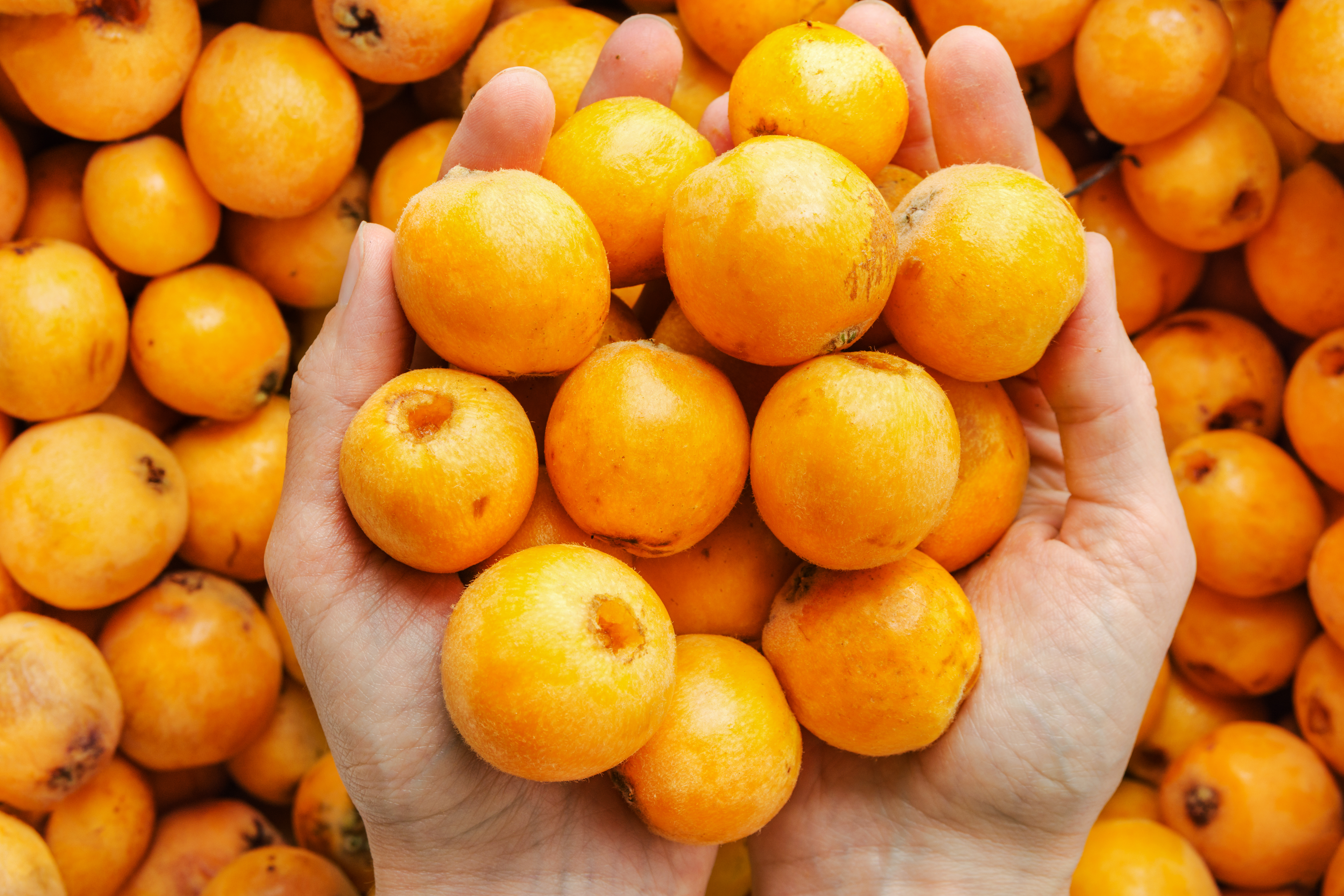 La fruta que fortalece el sistema inmune y es rica en vitaminas A y C 