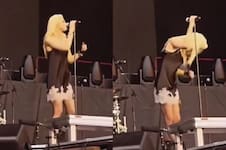Video: así fue el ataque de un murciélago a Taylor Momsen mientras cantaba durante un show en España 