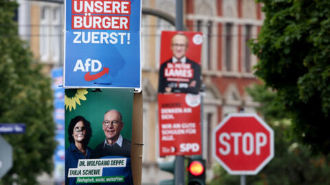 Des affiches de campagne électorale du parti d'extrême droite Alternative pour l'Allemagne (AfD) et des Verts d'Allemagne pour les prochaines élections européennes et municipales de 2024, à Dresde, Allemagne, le 12 mai 2024.