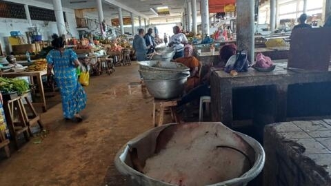 Au marché d’Oloumi, très fréquenté pour ses produits frais, le poisson fait défaut, suite à l'interdiction de la pêche dans l’estuaire du Como décrétée le 25 mars 2024 par les autorités gabonaises.