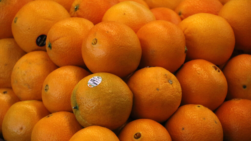 L'Afrique du Sud est le plus gros fournisseur d'oranges durant la saison d'été. (Image d'illustration)