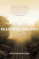 Cover image for Beautiful dreamer : a novel