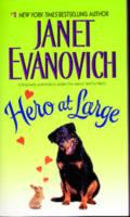 Cover image for Hero at large