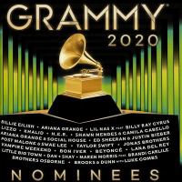 Cover image for 2020 Grammy nominees [sound recording]