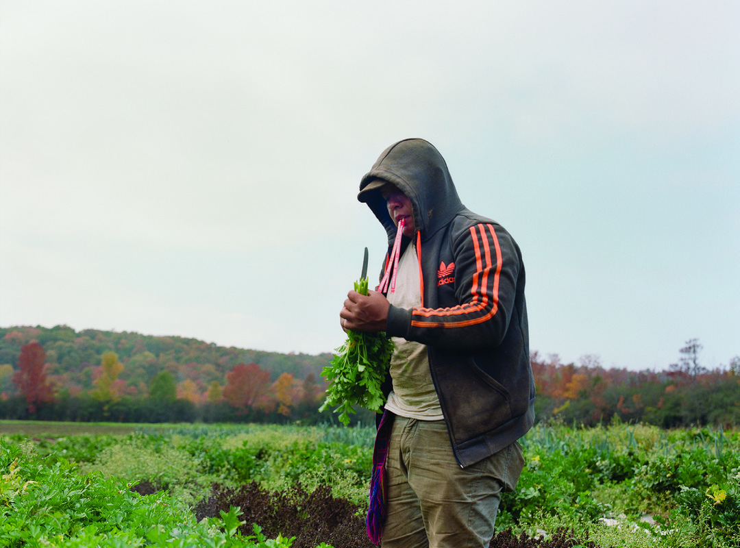 Certified Organic is a multimedia documentary project that explores the organic food production sector in Canada.