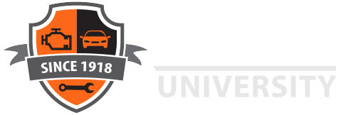 dorman university logo