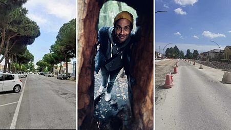Here are three first-person accounts from people in Europe about how they have felt when trees have been cut down where they live.  