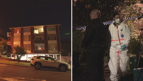 A homicide investigation is under way after a man was allegedly stabbed to death at a Sydney home.