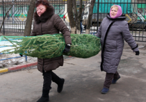 Купить елки в Москве можно будет по прошлогодним ценам