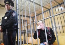 Спустя три месяца после нападения на 11-летнюю школьницу в Западном округе столице был вынесен приговор 43-летнему уголовнику из Нижнего Новгорода Виталию Косячкину - мужчина отправился за решетку на 22 года