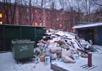 Залежи мусора начали возле контейнерной площадки во дворе дома №13 по пр