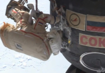 Космонавт Кононенко сравнил отверстие в «Союзе МС-09» с расползшимся пауком