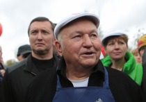 Бывший мэр Москвы Юрий Лужков опроверг сообщения о том, что он якобы намерен баллотироваться в Мосгордуму в 2019 году и впоследствии возглавить столичный парламент