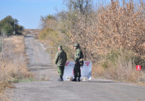 ДНР уведомила ОБСЕ о готовности приступить к разведению сил в районе села Петровского