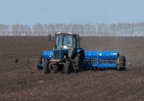 Высокие темпы работы показывают аграрии Мордовского, Петровского и Токарёвского районов