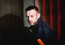 В правительстве ФРГ считают необходимым выяснить, почему у российского оппозиционного политика Алексея Навального резко ухудшилось здоровье