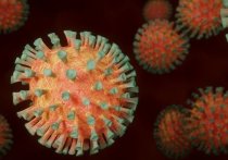 Авторы научной работы, опубликованной в медицинском издании ACP Journals, изучили уникальный случай двух однояйцевых близнецов, одномоментно заразившихся коронавирусом от одного и того же человека