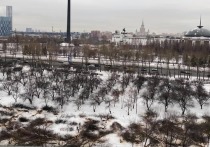К концу 2020 года в Москве активизировались сразу несколько градостроительных конфликтов, самый заметный из которых связан с предстоящим строительством Северного дублера Кутузовского проспекта